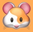 菠萝视频APP